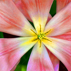 ddos攻击在哪能买到