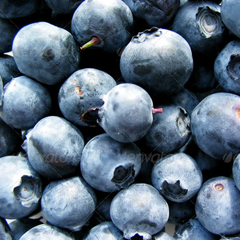 秒发卡不等待的ddos免费测试